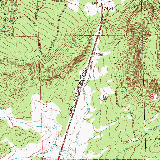 Topographic Map of San Antonio Hill, NM
