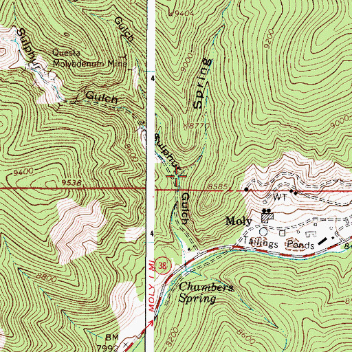 Topographic Map of Spring Gulch, NM