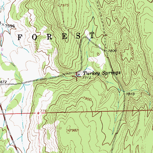 Topographic Map of Turkey Springs, NM