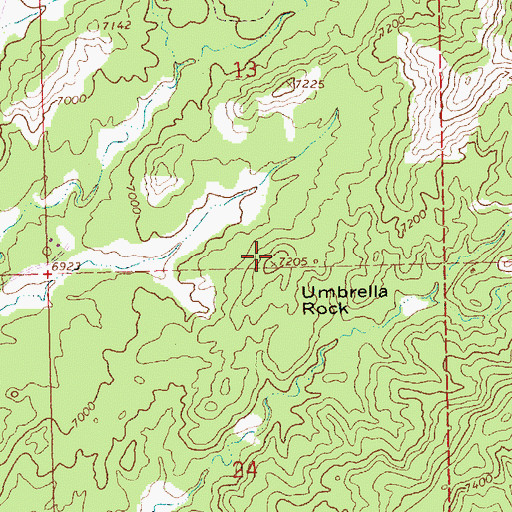 Topographic Map of Umbrella Rock, NM