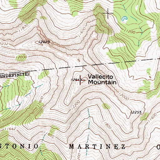 Topographic Map of Vallecito Mountain, NM