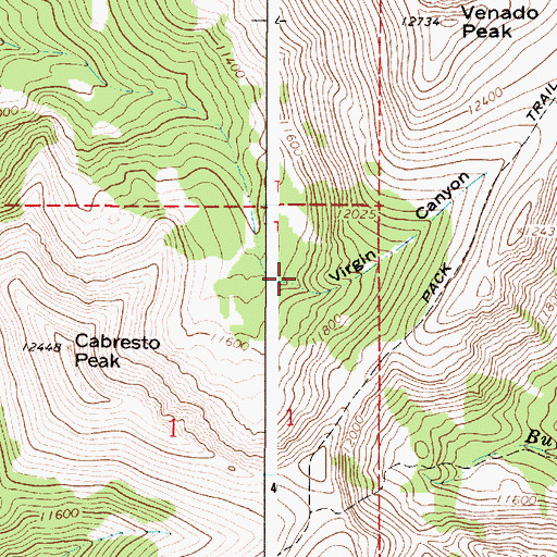Topographic Map of Virgin Canyon, NM