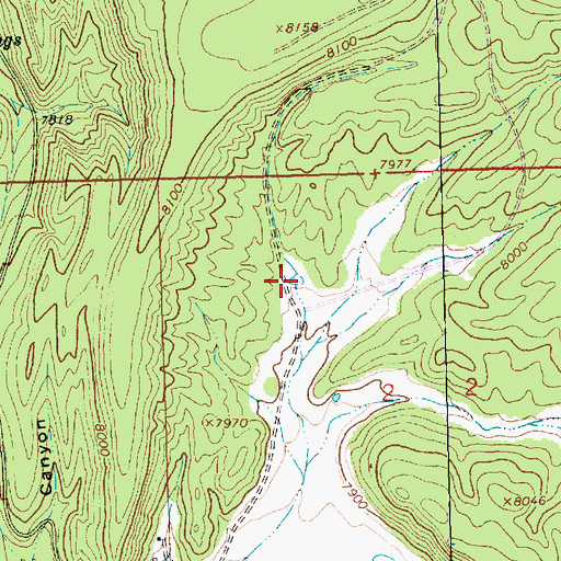Topographic Map of Mustard Tank, NM