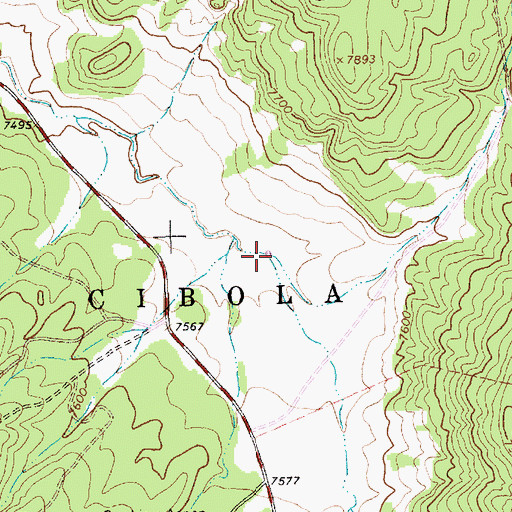Topographic Map of Aspen Drop Structure, NM