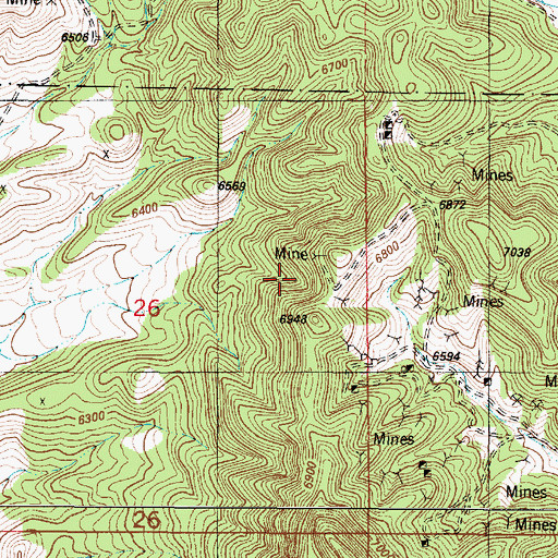 Topographic Map of Little Homestake Mine, NM