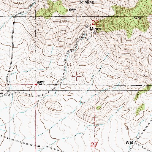 Topographic Map of Julia Ann Prospect, NM