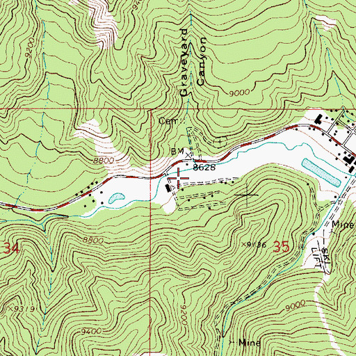 Topographic Map of Willow Placer, NM