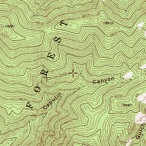 Topographic Map of Gray Hawk Prospect, NM
