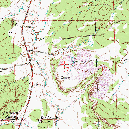 Topographic Map of Elkins Lime Pit, NM