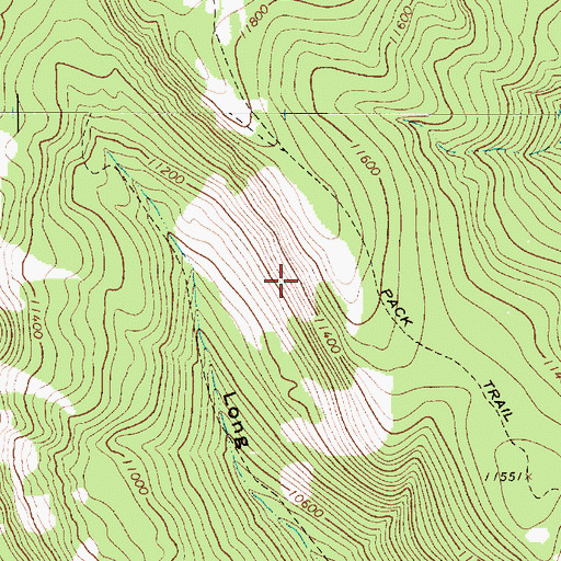 Topographic Map of Gold Mint, NM