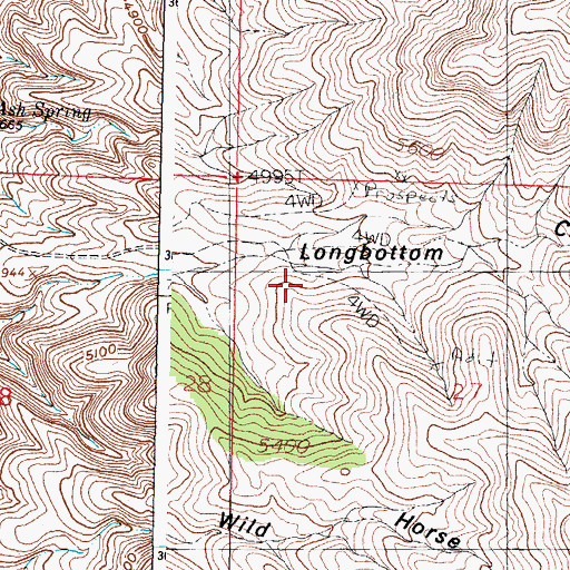 Topographic Map of Flouride Prospect, NM