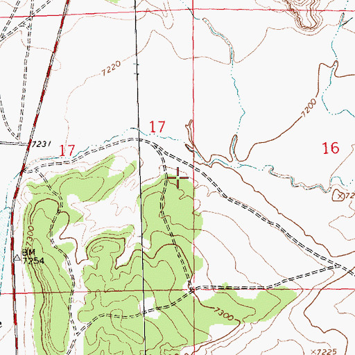 Topographic Map of 16T-597 Water Well, NM