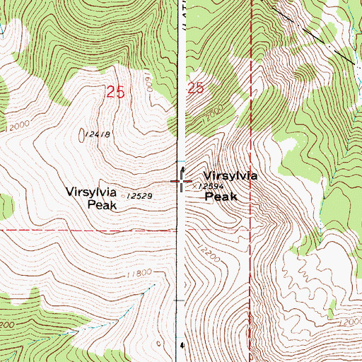 Topographic Map of Virsylvia Peak, NM