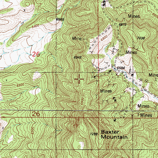 Topographic Map of Little Nell Mine, NM