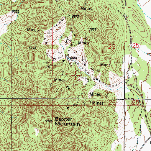Topographic Map of Goldfield Mine, NM