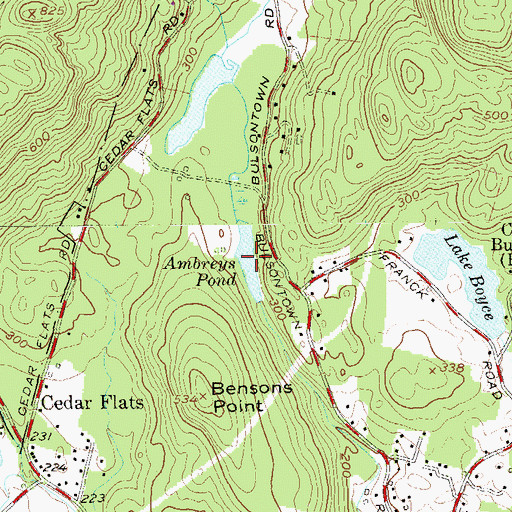 Topographic Map of Ambreys Pond, NY