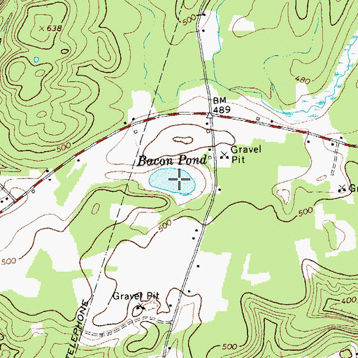 Topographic Map of Bacon Pond, NY