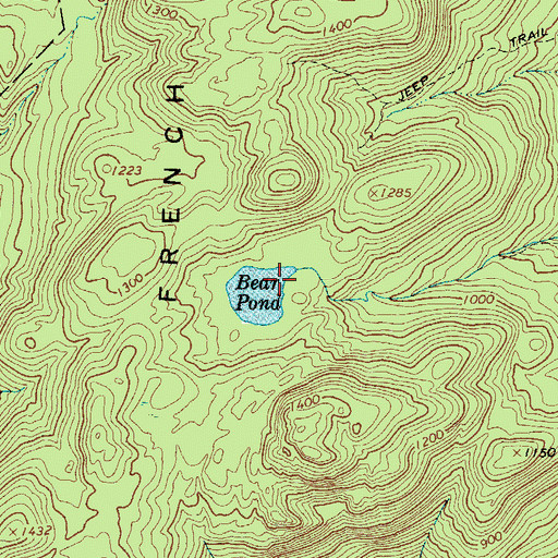 Topographic Map of Bear Pond, NY