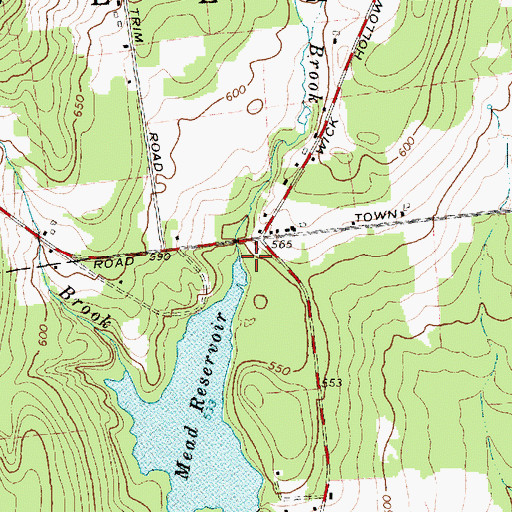 Topographic Map of Beartown Brook, NY