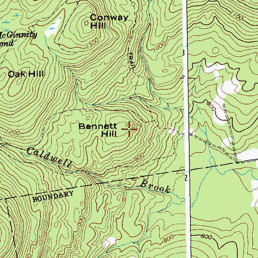 Topographic Map of Bennett Hill, NY