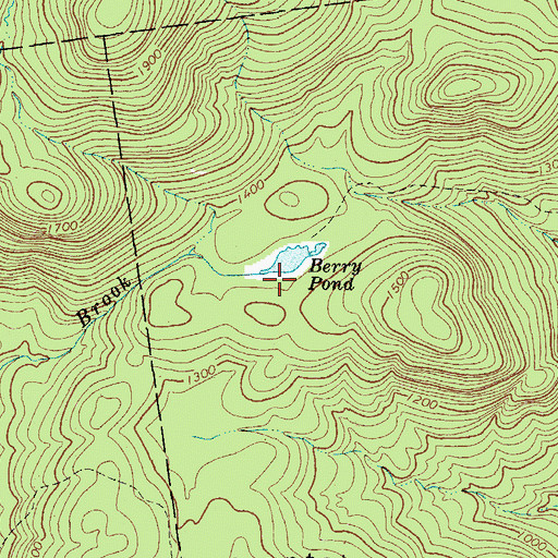 Topographic Map of Berry Pond, NY
