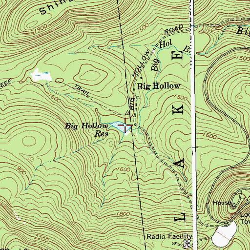 Topographic Map of Big Hollow Reservoir, NY