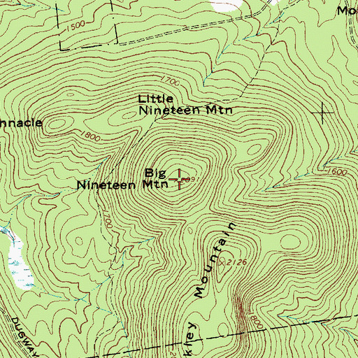 Topographic Map of Big Nineteen Mountain, NY