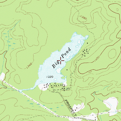 Topographic Map of Big Pond, NY