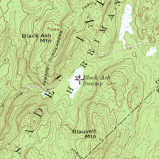 Topographic Map of Black Ash Swamp, NY