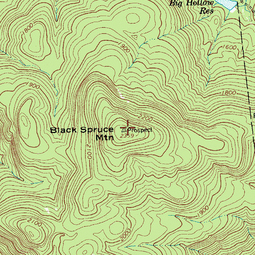 Topographic Map of Black Spruce Mountain, NY