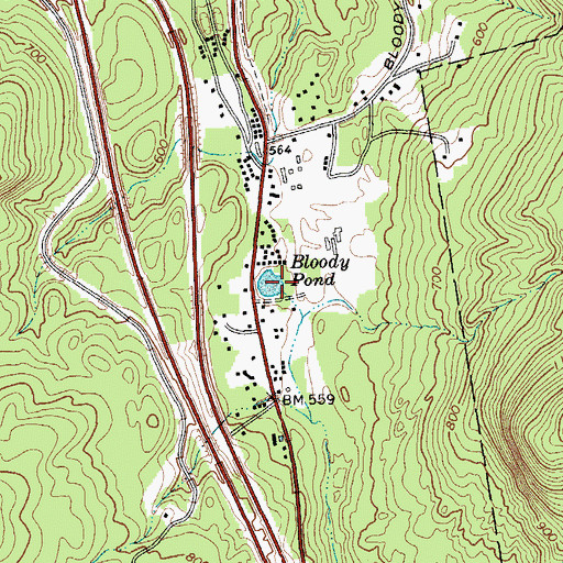 Topographic Map of Bloody Pond, NY