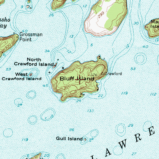 Topographic Map of Bluff Island, NY