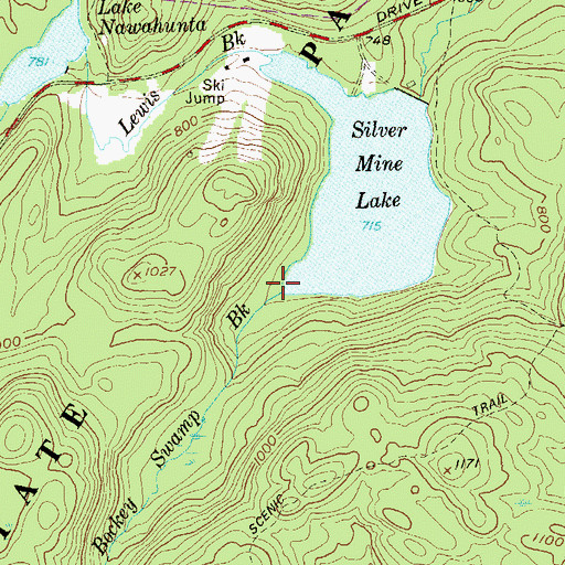Topographic Map of Bockey Swamp Brook, NY