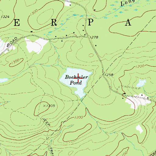 Topographic Map of Boehmler Pond, NY