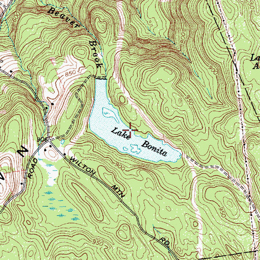 Topographic Map of Lake Bonita, NY