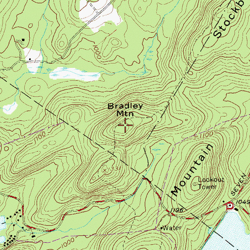 Topographic Map of Bradley Mountain, NY