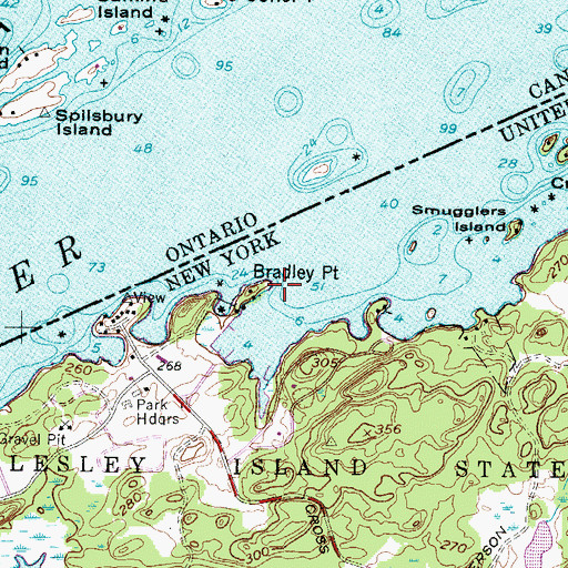 Topographic Map of Bradley Point, NY