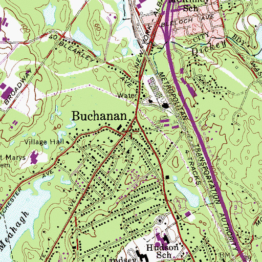 Topographic Map of Buchanan, NY