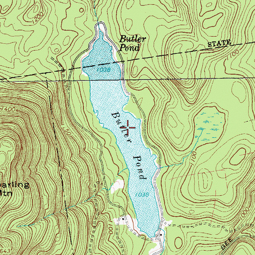Topographic Map of Butler Pond, NY
