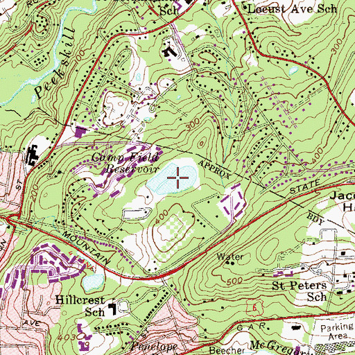 Topographic Map of Camp Field Reservoir, NY