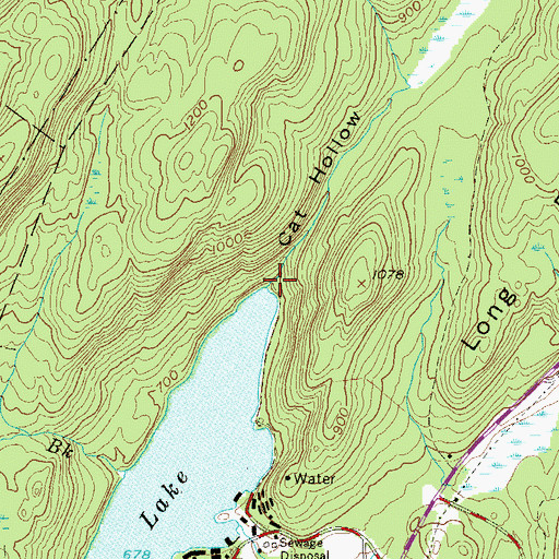 Topographic Map of Cat Hollow, NY