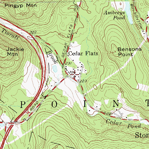Topographic Map of Cedar Flats, NY