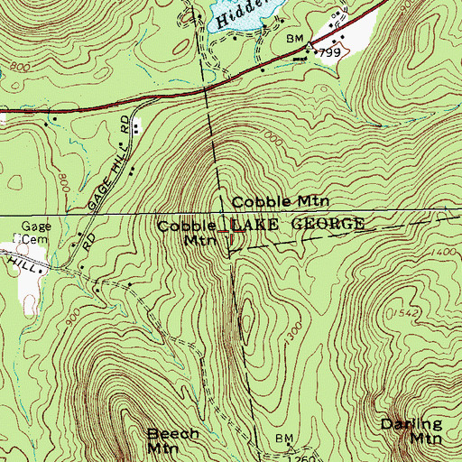 Topographic Map of Cobble Mountain, NY