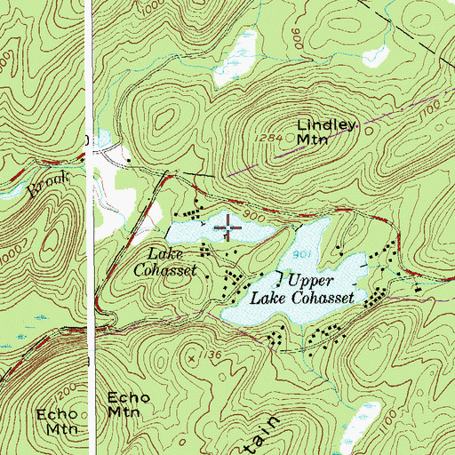 Topographic Map of Lake Cohasset, NY