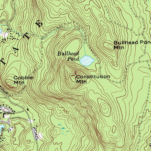 Topographic Map of Constitution Mountain, NY