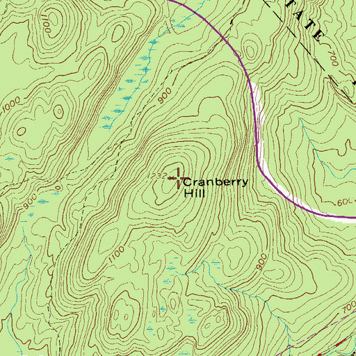 Topographic Map of Cranberry Hill, NY