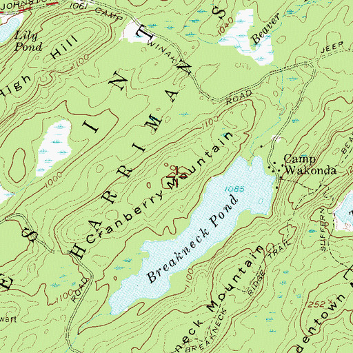 Topographic Map of Cranberry Mountain, NY