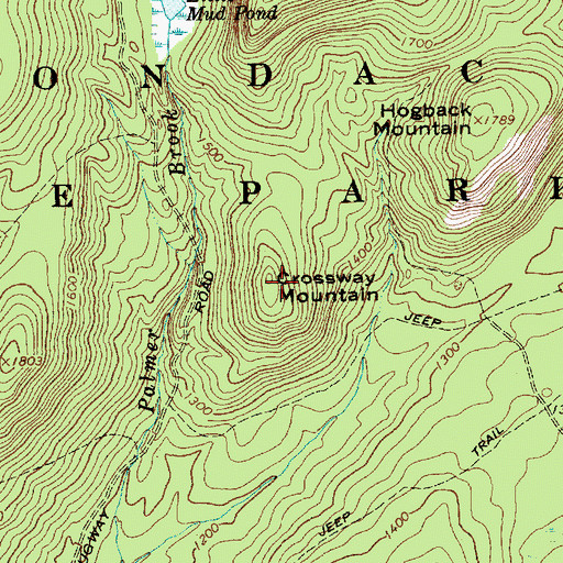 Topographic Map of Crossway Mountain, NY