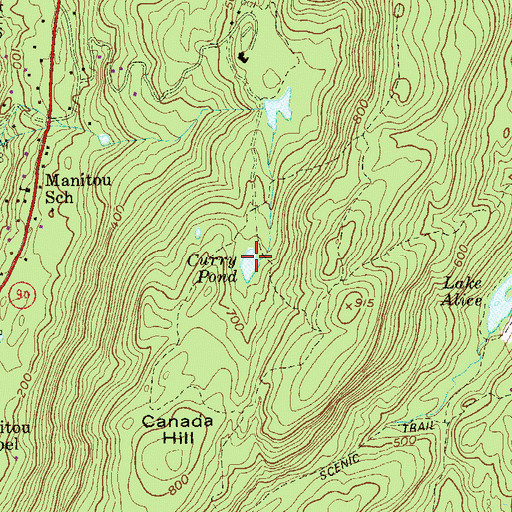 Topographic Map of Curry Pond, NY