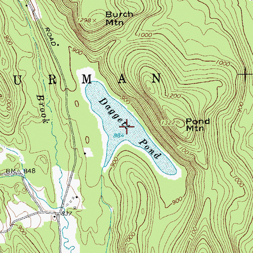 Topographic Map of Daggett Pond, NY